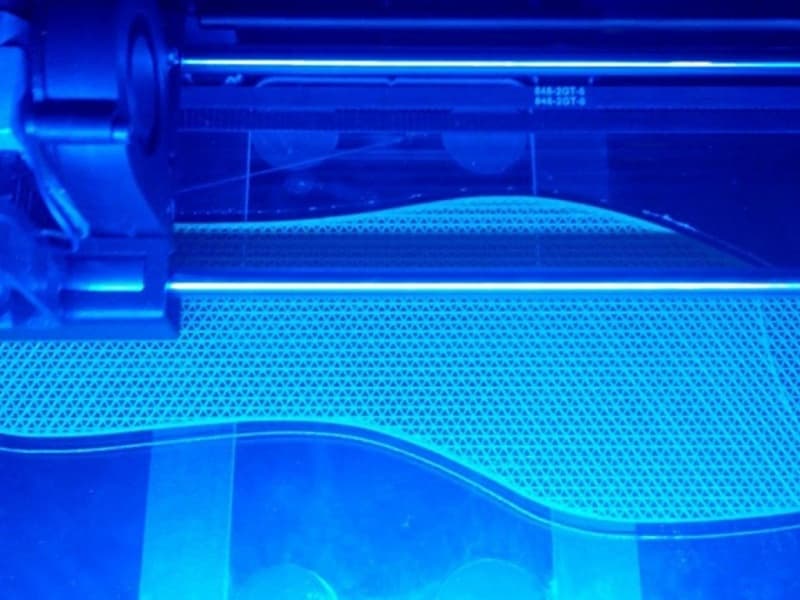 Intro 3D printing footwear with SLEM
