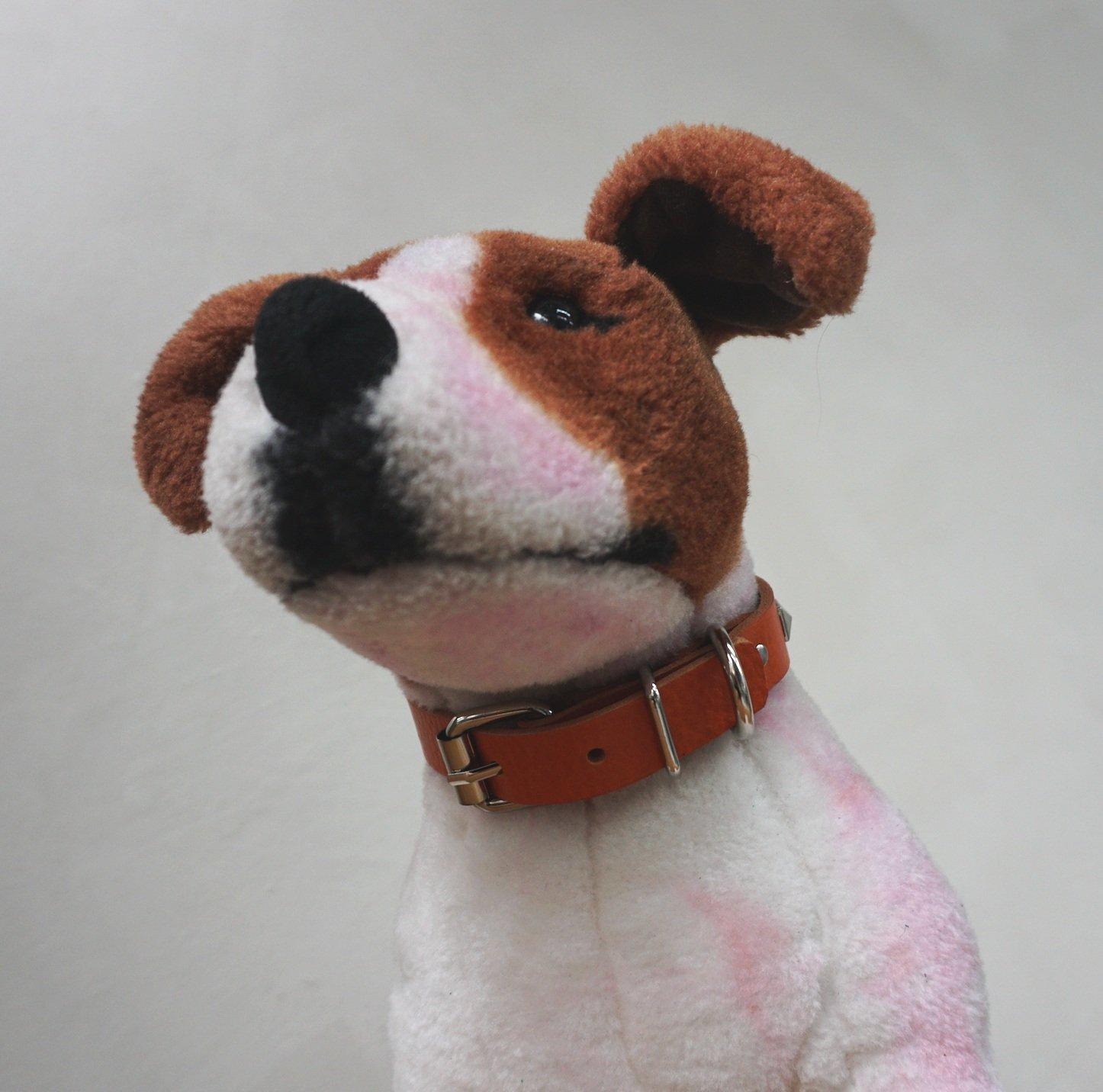 FURRY FRIENDS COLLAR/HARNESS MAKING, image 1